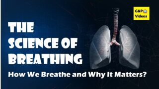 The Science of Breathing: How We Breathe and Why It Matters | garvnparv